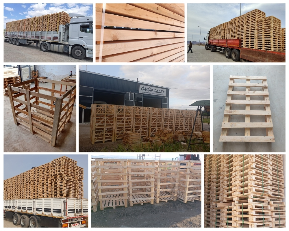 Leeuwarden Houten Kisten, Europallets Groothandel Kopen